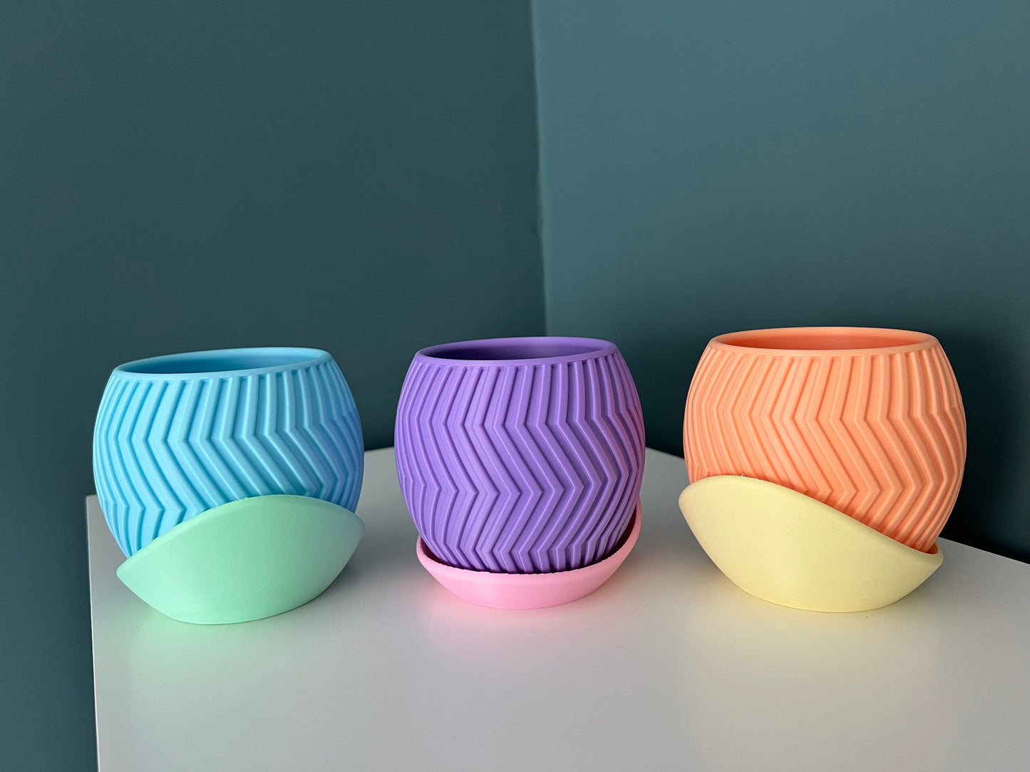 Zig Happens – Sorbet Succulent Collection Planter Pot