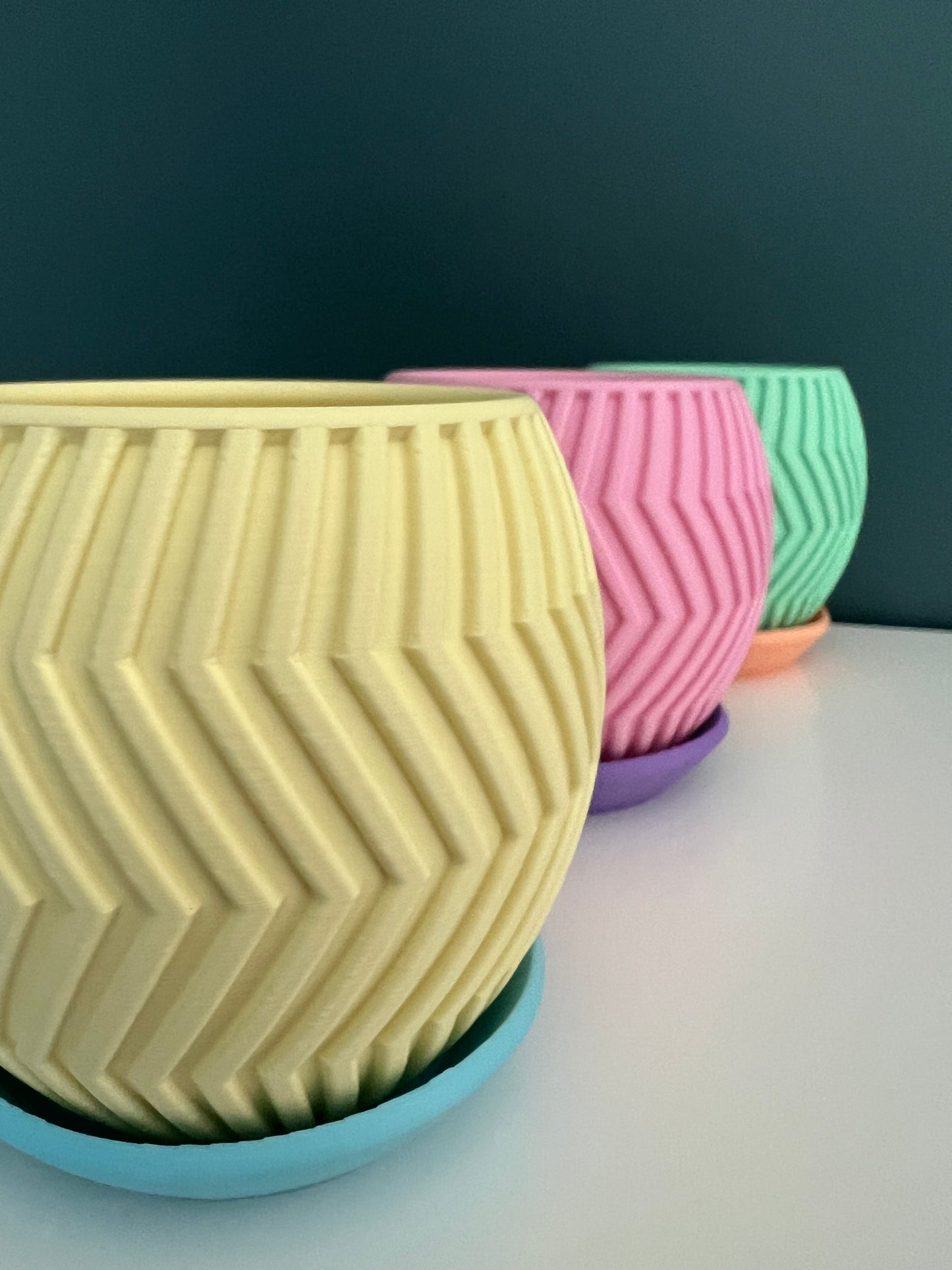 Zig Happens – Sorbet Succulent Collection Planter Pot