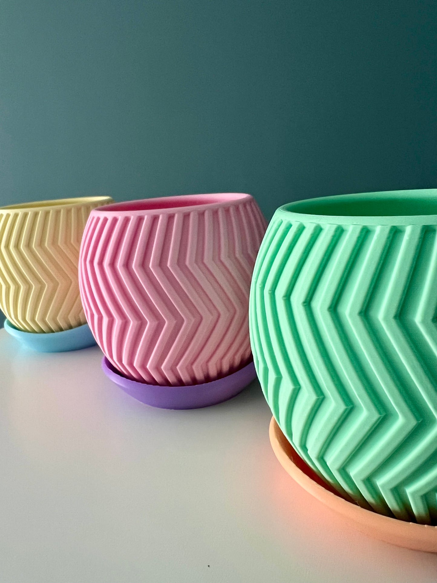Zig Happens – Sorbet Succulent Collection Planter Pot