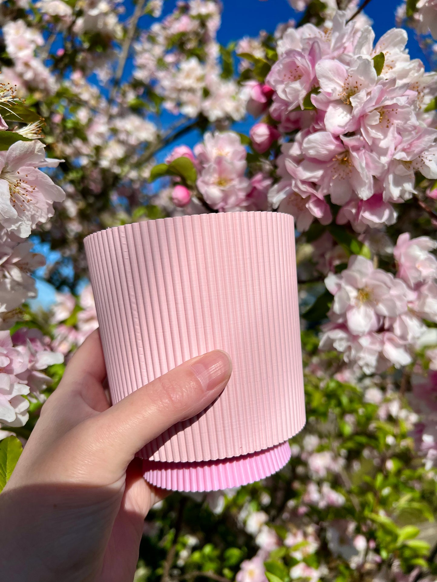 LIMITED EDITION - Cherry Blossom - Verti-Go – Succulent Planter Pot