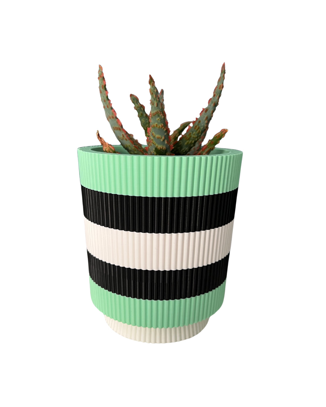 Licorice Allsorts - Verti-Go – Sorbet Succulent Collection Planter Pot