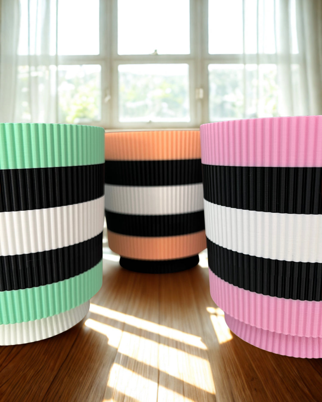Licorice Allsorts - Verti-Go – Sorbet Succulent Collection Planter Pot