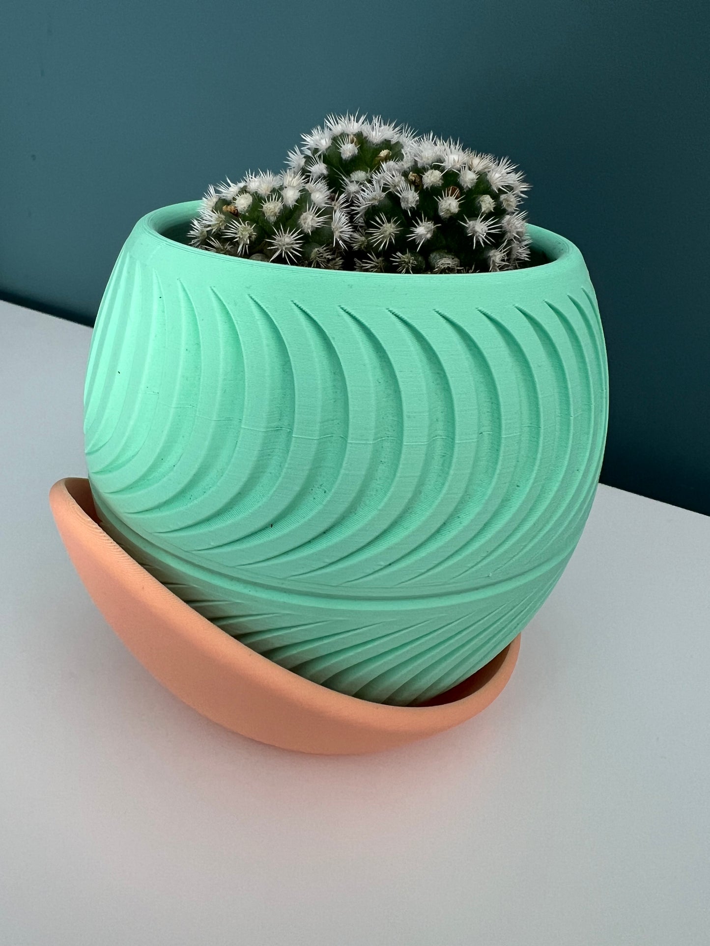 Over the Moon – Sorbet Succulent Collection Planter Pot