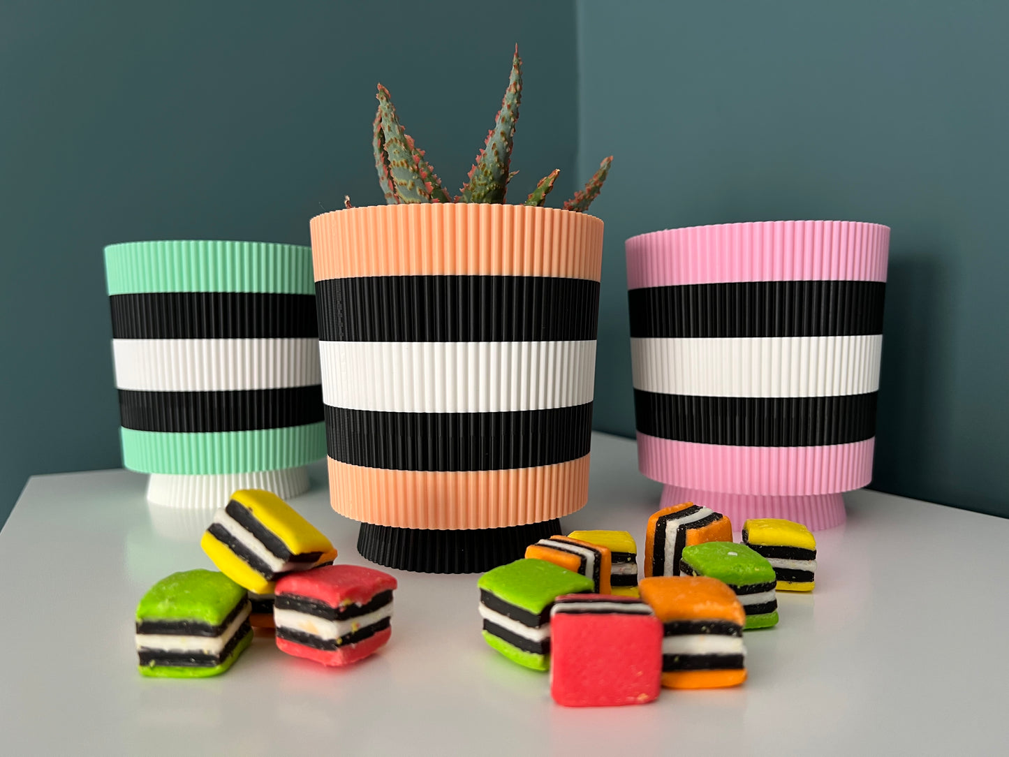 Licorice Allsorts - Verti-Go – Sorbet Succulent Collection Planter Pot