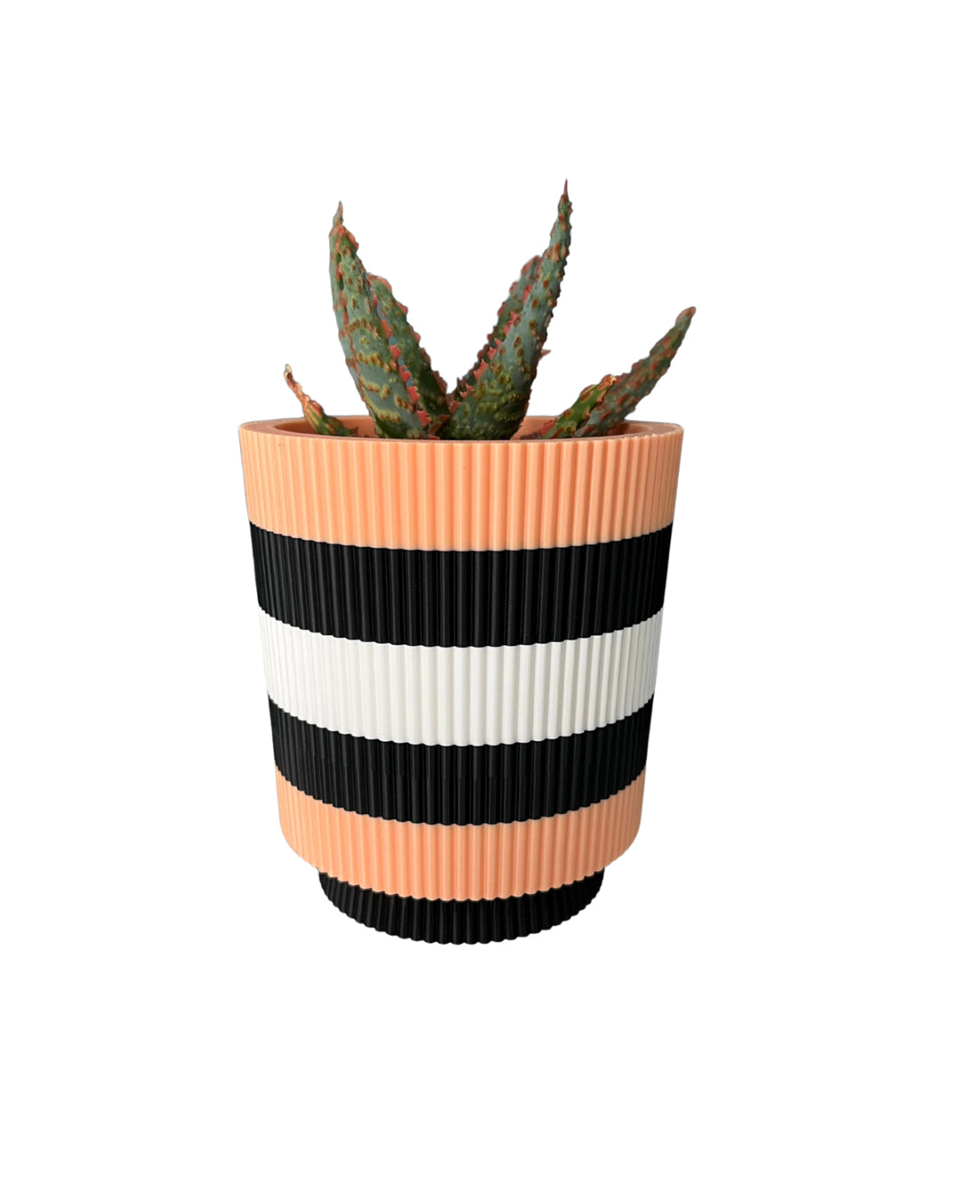 Licorice Allsorts - Verti-Go – Sorbet Succulent Collection Planter Pot