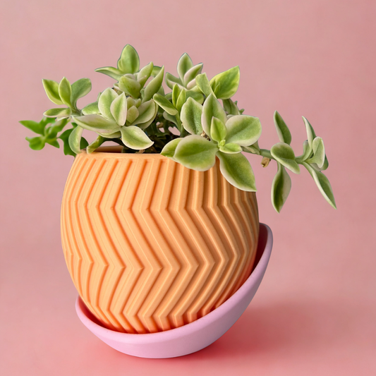 Zig Happens – Sorbet Succulent Collection Planter Pot