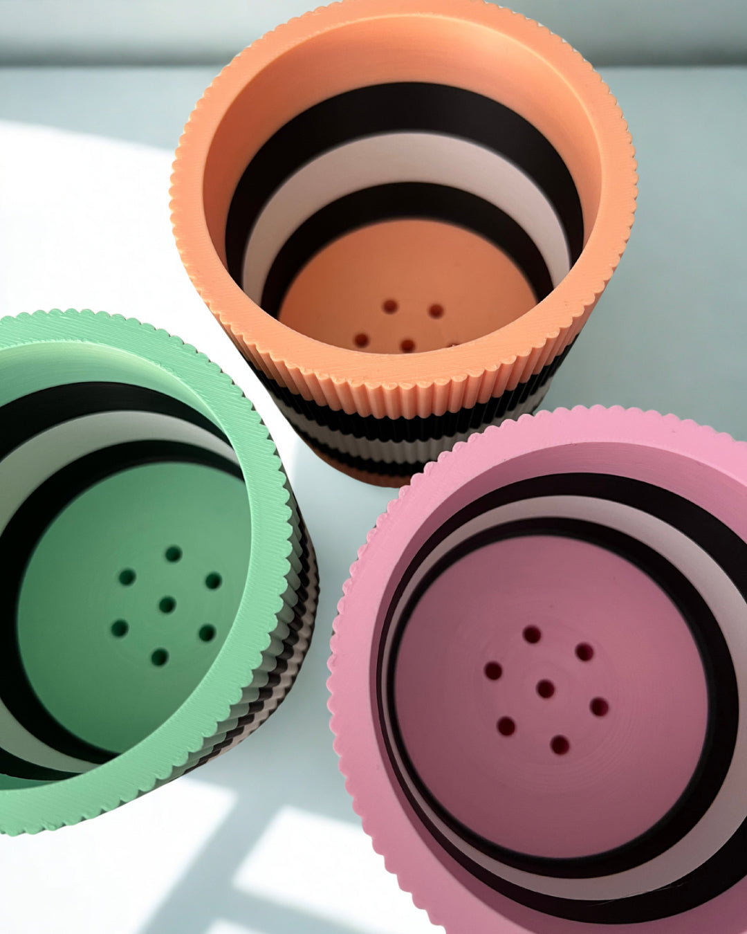 Licorice Allsorts - Verti-Go – Sorbet Succulent Collection Planter Pot