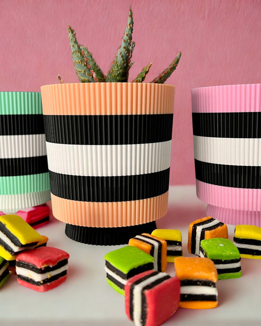 Licorice Allsorts - Verti-Go – Sorbet Succulent Collection Planter Pot